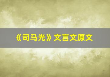 《司马光》文言文原文