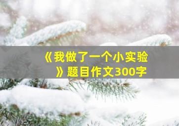 《我做了一个小实验》题目作文300字