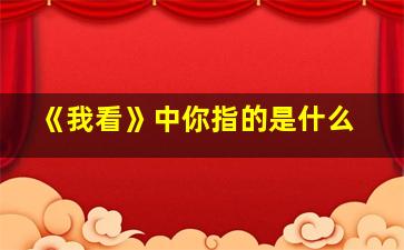 《我看》中你指的是什么