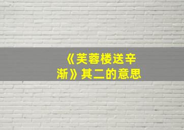 《芙蓉楼送辛渐》其二的意思