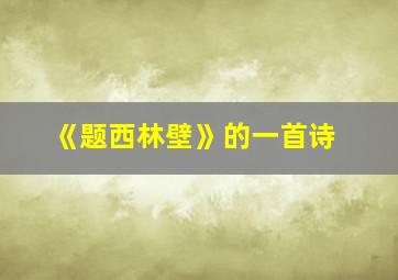 《题西林壁》的一首诗