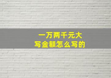 一万两千元大写金额怎么写的