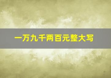 一万九千两百元整大写