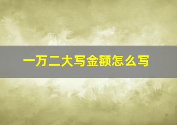 一万二大写金额怎么写