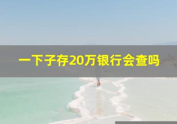 一下子存20万银行会查吗