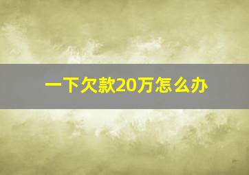 一下欠款20万怎么办