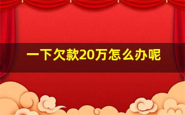 一下欠款20万怎么办呢