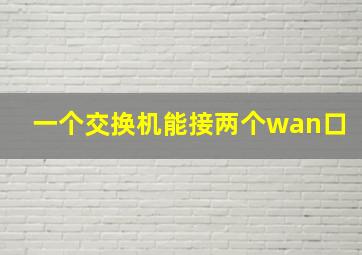 一个交换机能接两个wan口