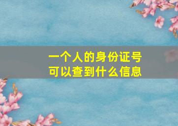 一个人的身份证号可以查到什么信息