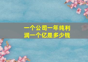 一个公司一年纯利润一个亿是多少钱