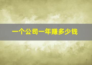 一个公司一年赚多少钱