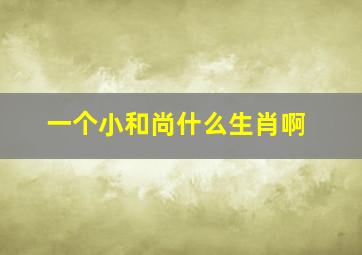 一个小和尚什么生肖啊