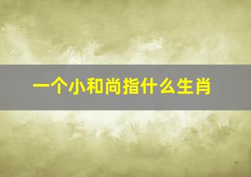 一个小和尚指什么生肖