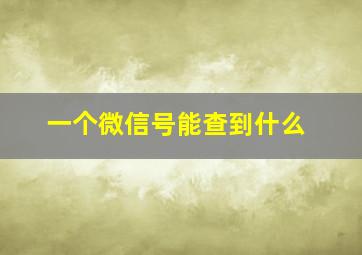 一个微信号能查到什么