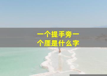 一个提手旁一个厓是什么字