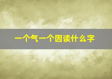 一个气一个因读什么字