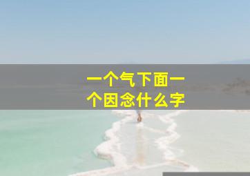 一个气下面一个因念什么字