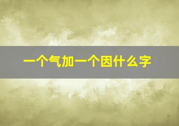 一个气加一个因什么字