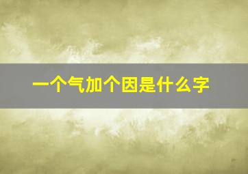 一个气加个因是什么字