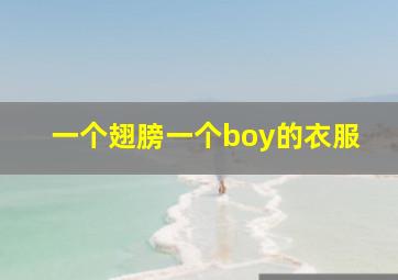 一个翅膀一个boy的衣服