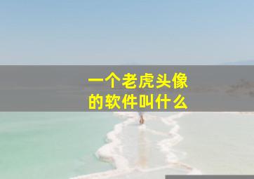 一个老虎头像的软件叫什么