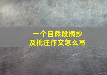 一个自然段摘抄及批注作文怎么写