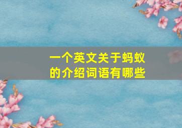 一个英文关于蚂蚁的介绍词语有哪些