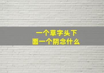 一个草字头下面一个阴念什么