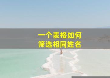 一个表格如何筛选相同姓名