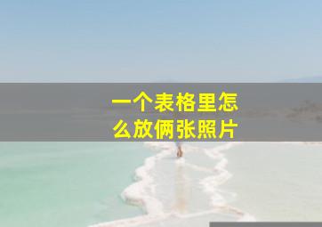 一个表格里怎么放俩张照片