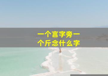 一个言字旁一个斤念什么字