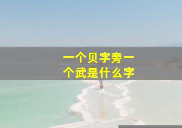 一个贝字旁一个武是什么字