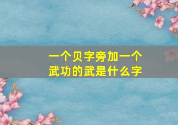 一个贝字旁加一个武功的武是什么字