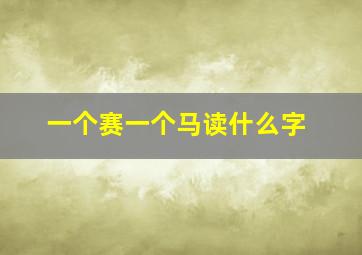 一个赛一个马读什么字