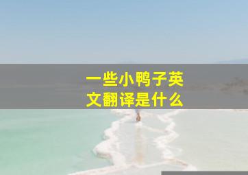 一些小鸭子英文翻译是什么