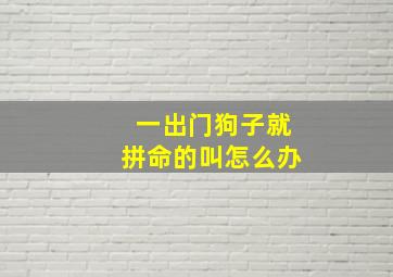 一出门狗子就拼命的叫怎么办