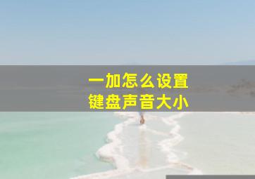 一加怎么设置键盘声音大小