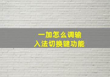 一加怎么调输入法切换键功能