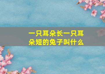 一只耳朵长一只耳朵短的兔子叫什么