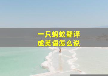 一只蚂蚁翻译成英语怎么说