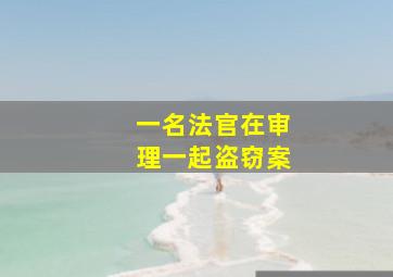 一名法官在审理一起盗窃案