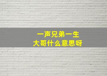 一声兄弟一生大哥什么意思呀