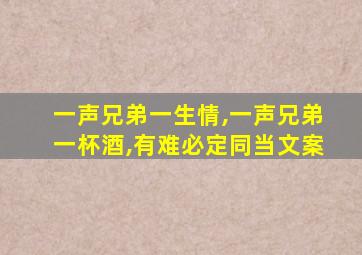 一声兄弟一生情,一声兄弟一杯酒,有难必定同当文案