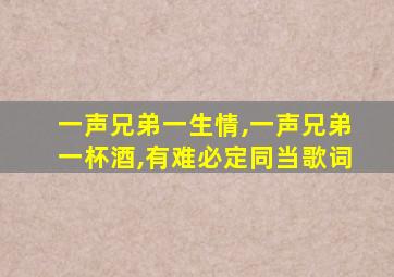 一声兄弟一生情,一声兄弟一杯酒,有难必定同当歌词