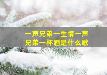 一声兄弟一生情一声兄弟一杯酒是什么歌