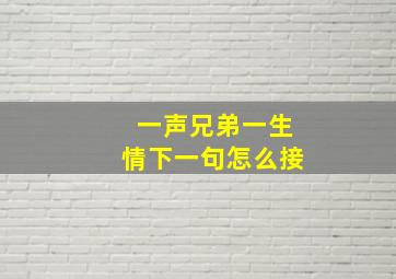 一声兄弟一生情下一句怎么接