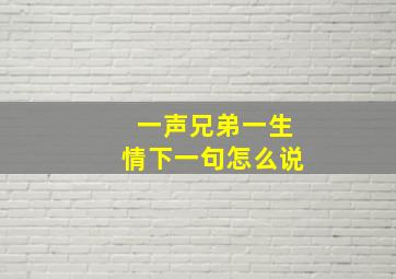 一声兄弟一生情下一句怎么说