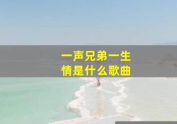 一声兄弟一生情是什么歌曲