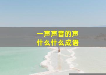 一声声音的声什么什么成语