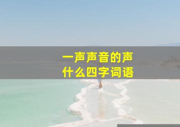 一声声音的声什么四字词语